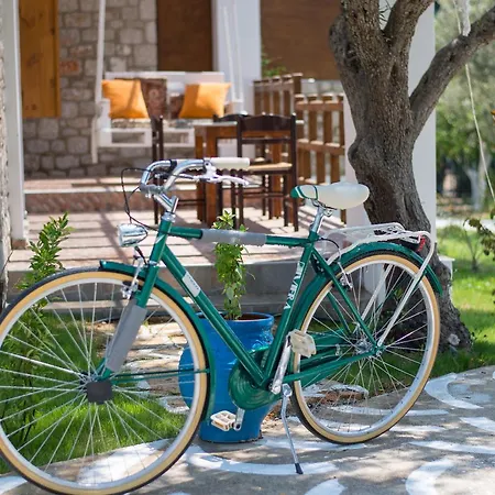 To Stolidi Tis Psinthou Semesterbostad