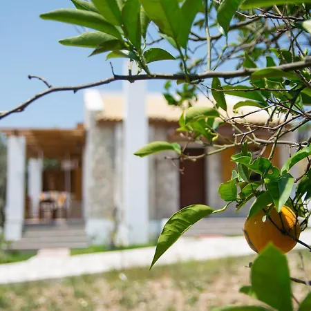 Semesterbostad To Stolidi Tis Psinthou