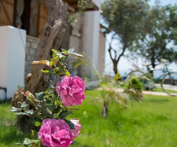 To Stolidi Tis Psinthou * Psinthos