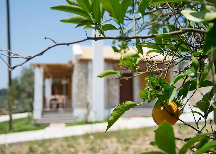 Vakantiehuis To Stolidi Tis Psinthou