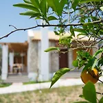 Hébergement de vacances To Stolidi Tis Psinthou
