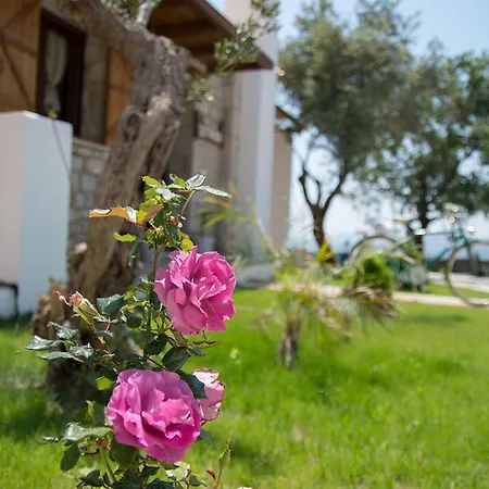 To Stolidi Tis Psinthou * Psinthos