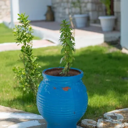 To Stolidi Tis Psinthou