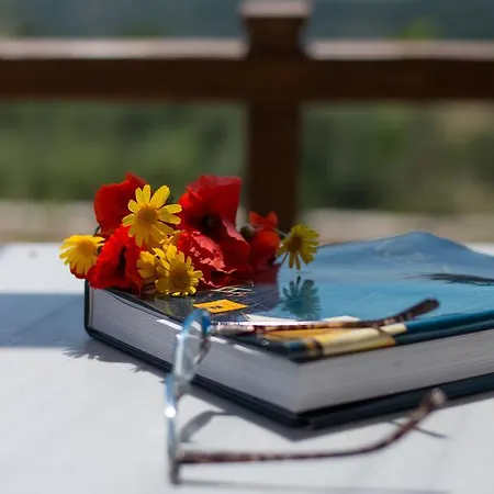 To Stolidi Tis Psinthou Casa de Férias Psinthos