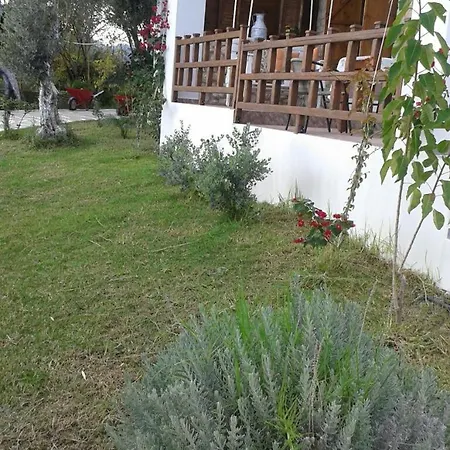 Casa de Férias To Stolidi Tis Psinthou