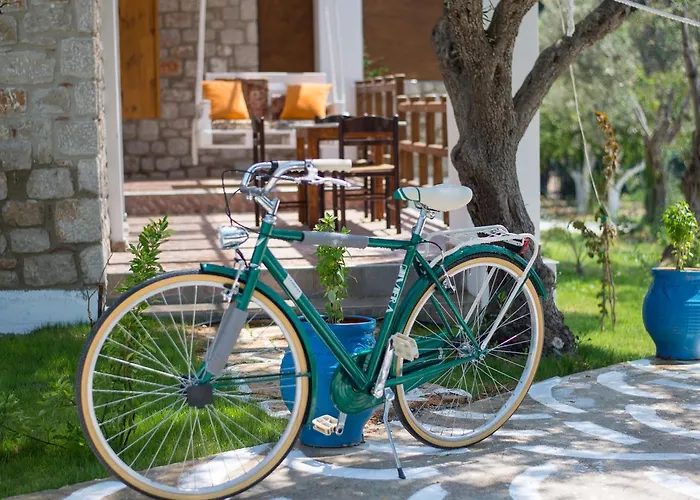 To Stolidi Tis Psinthou Vakantiehuis