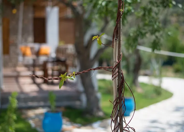 To Stolidi Tis Psinthou *