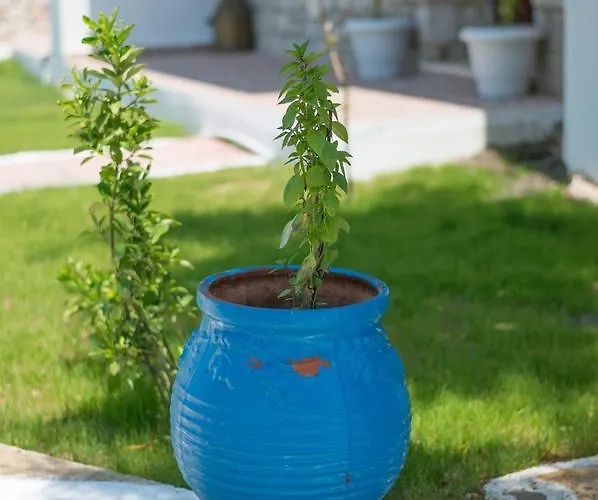 To Stolidi Tis Psinthou