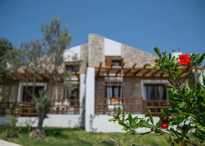 To Stolidi Tis Psinthou Hébergement de vacances Psinthos