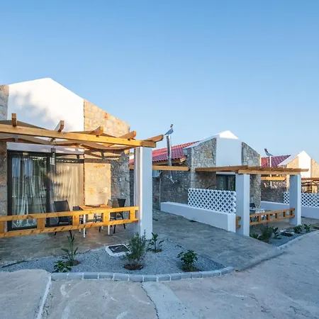To Stolidi Tis Psinthou Holiday home Psinthos