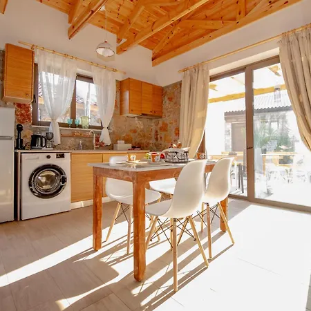 To Stolidi Tis Psinthou Holiday home Psinthos