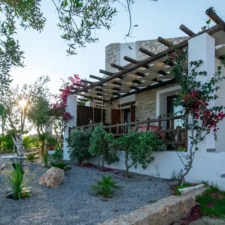 To Stolidi Tis Psinthou Holiday home Psinthos