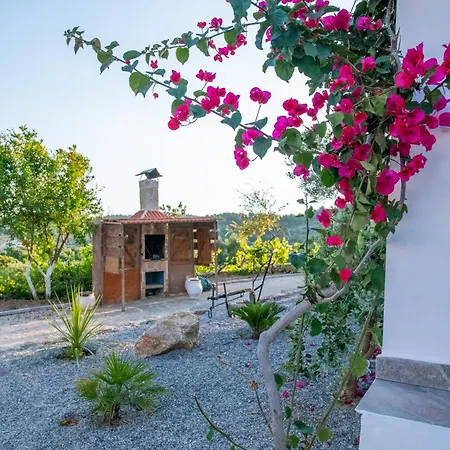 Holiday home To Stolidi Tis Psinthou Psinthos