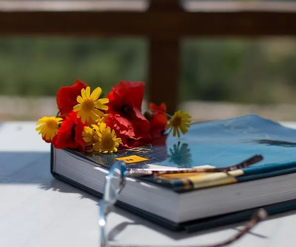 To Stolidi Tis Psinthou Σπίτι διακοπών Ψίνθος